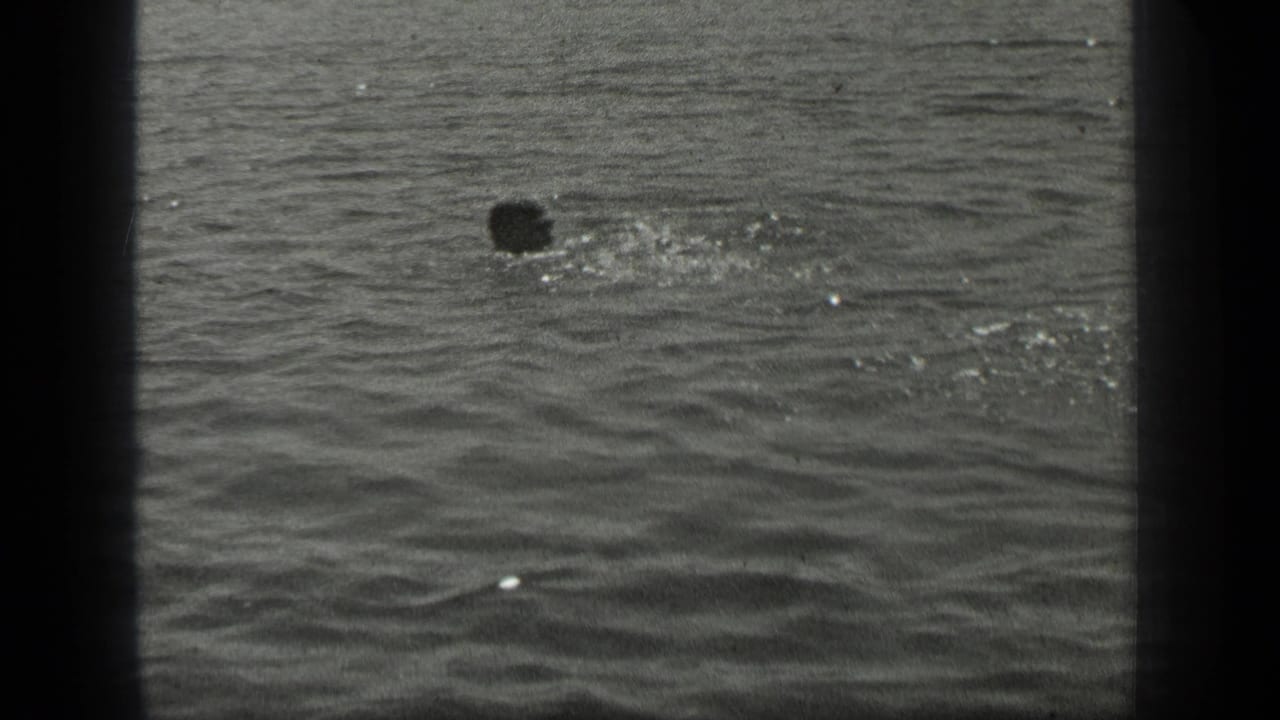 Swimmer's head partly above lake water with ripples and small splashes around them.