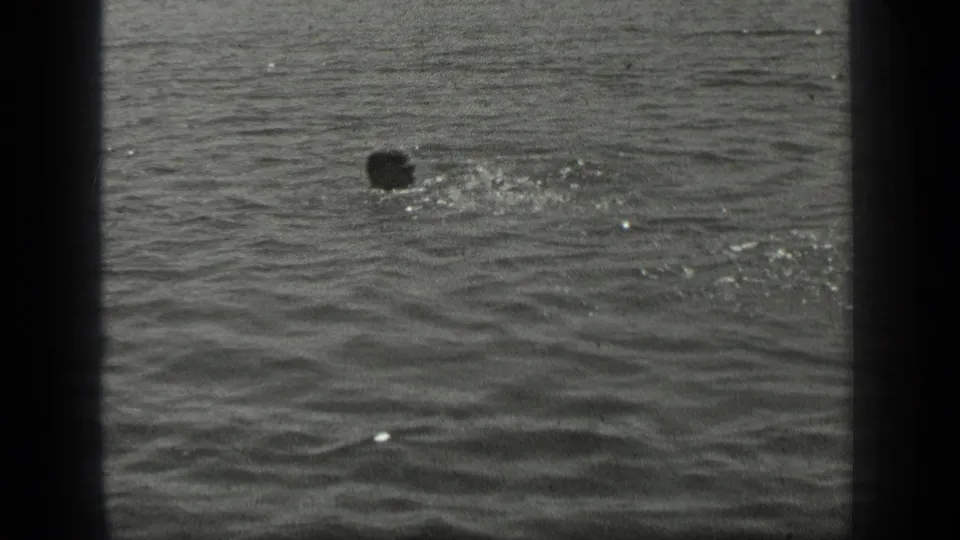 In 1939 Long Lake, Canada footage, a distant swimmer's head appears above rippling water in a grainy black-and-white 8mm frame.