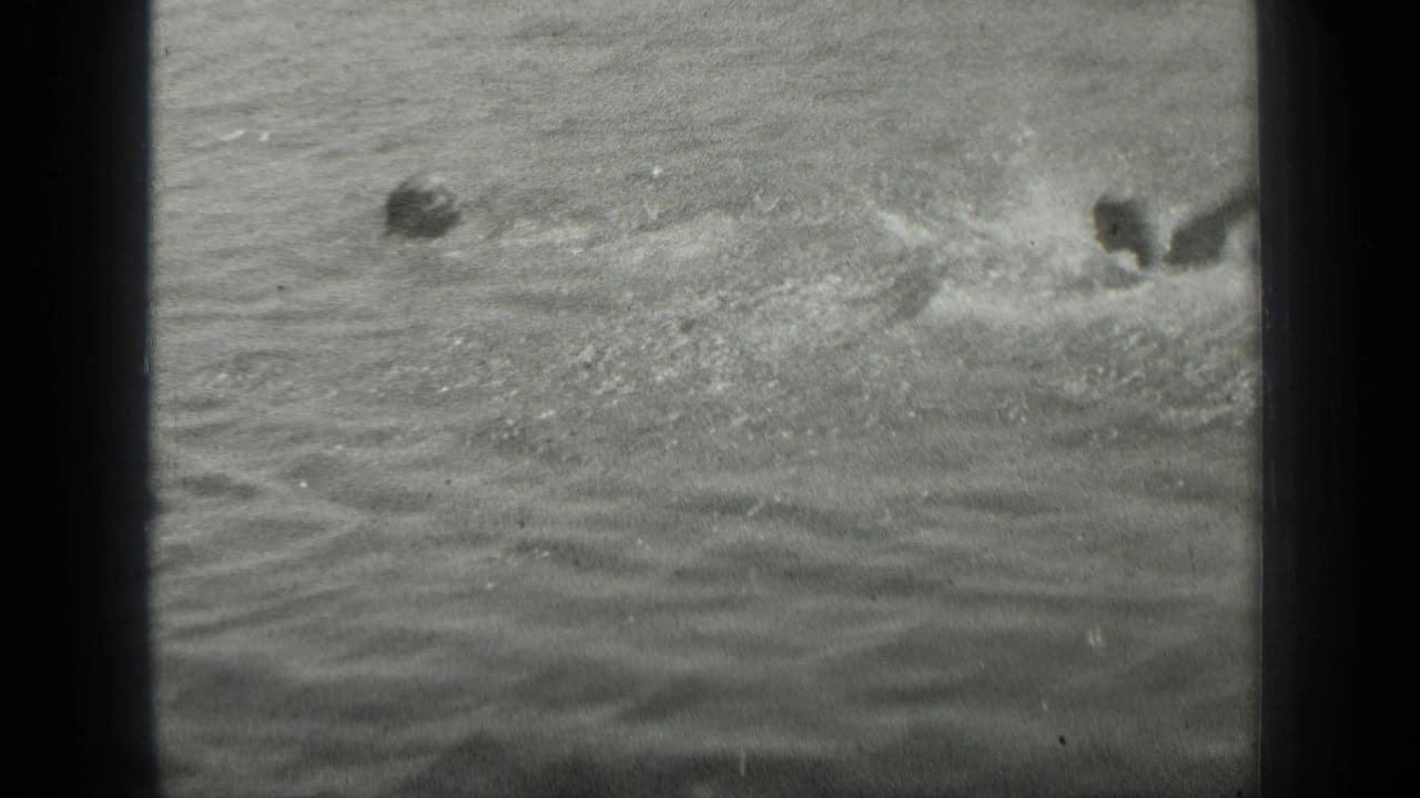 Swimmers disturb the lake surface, creating a broad splash and ripples across the water.
