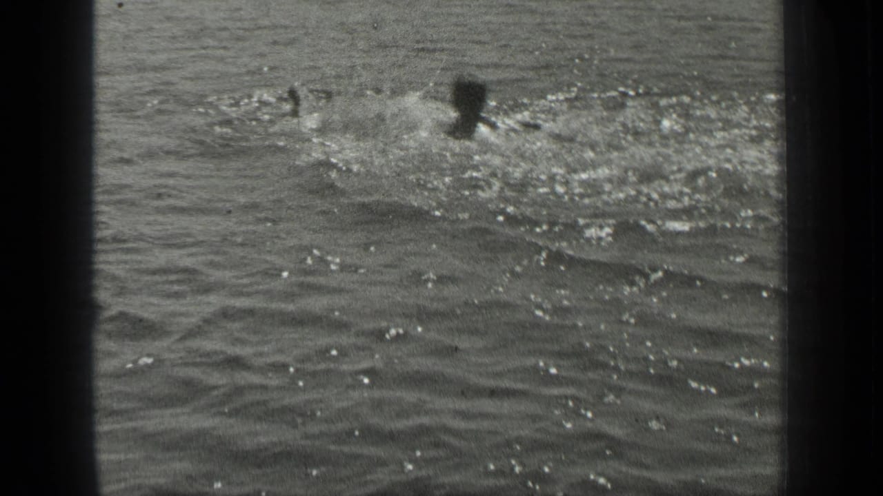 In this 1939 Long Lake, Canada home-movie frame, multiple swimmers appear as small dark heads amid sparkling ripples and splashing water.