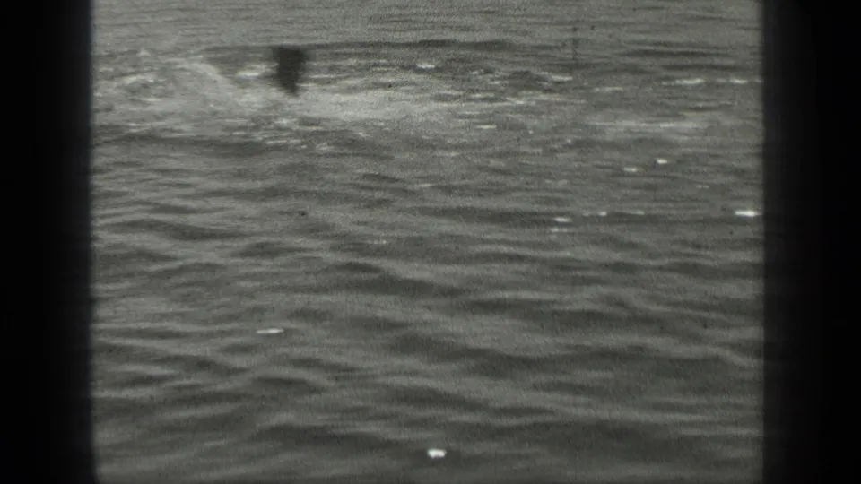 1939 Long Lake, Canada home-movie frame showing two distant swimmers bobbing in textured lake water.