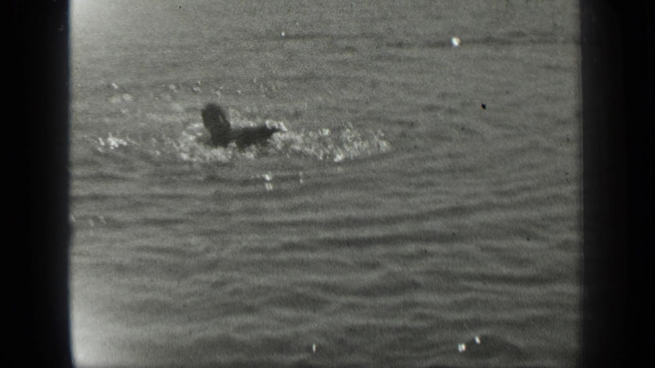 A distant swimmer moves through rippling lake water with splashes and dark film borders.