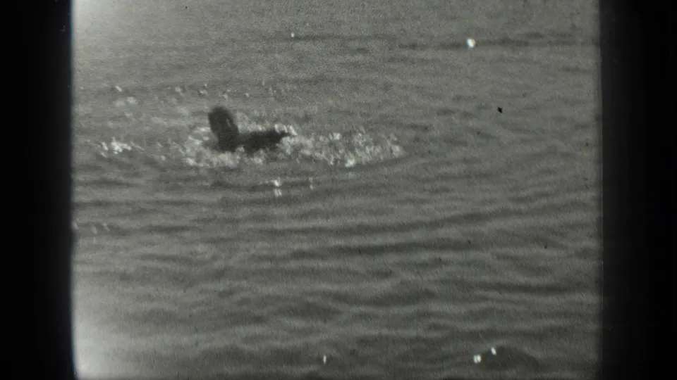 1939 Long Lake, Canada home-movie frame showing a distant swimmer splashing through rippling water in black-and-white 8mm footage.