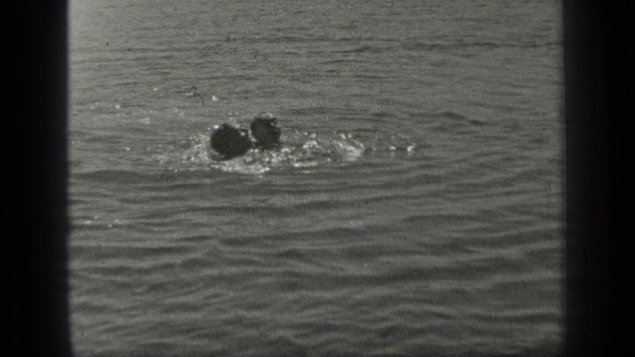 1939 Long Lake, Canada frame with two distant swimmers moving close together through sunlit rippling lake water.
