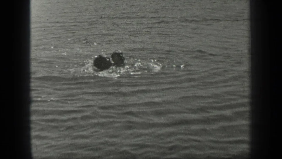 1939 Long Lake, Canada frame with two distant swimmers moving close together through sunlit rippling lake water.