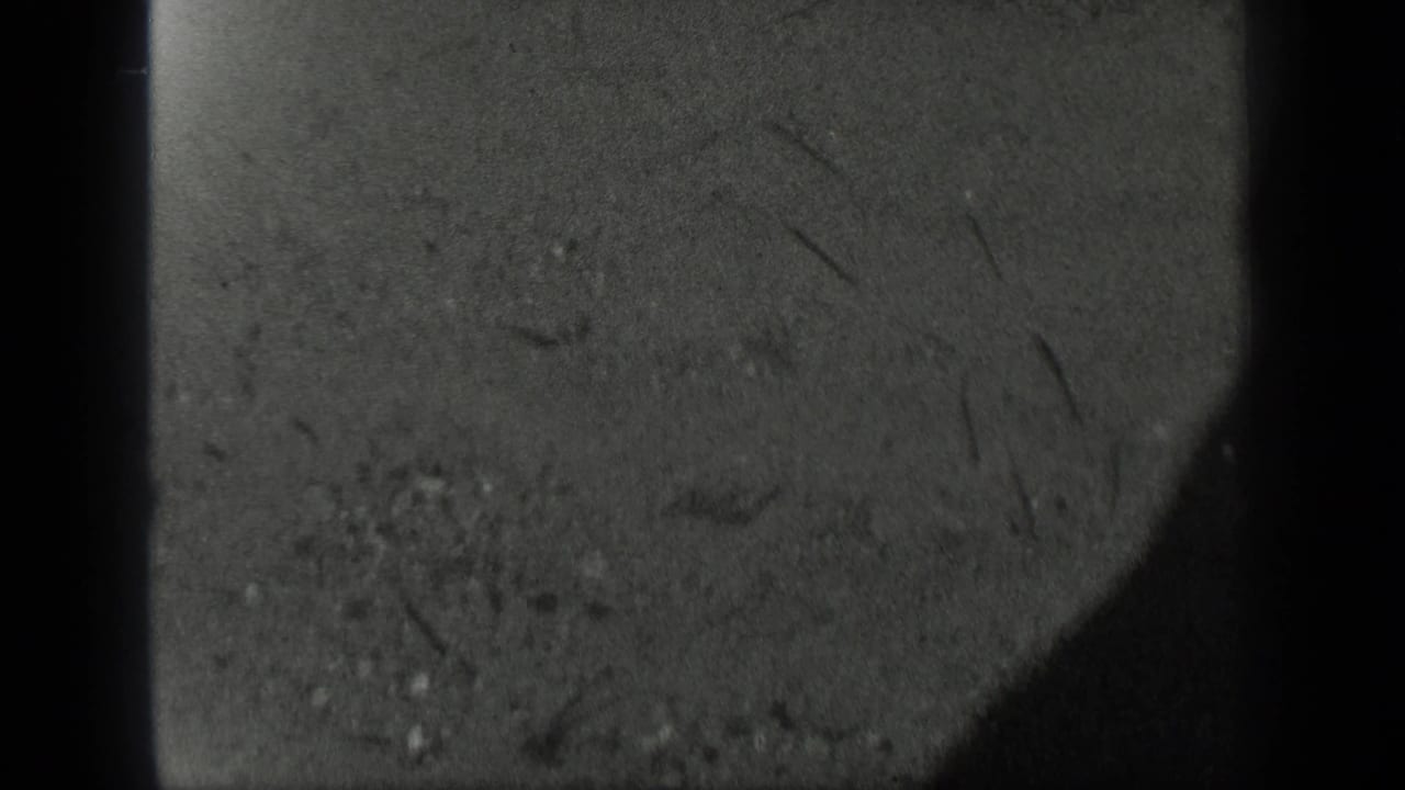1939 Long Lake, Canada home-movie frame showing textured shoreline or ground near the water, bordered by rounded 8mm frame edges.