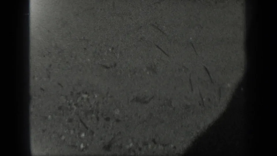 1939 Long Lake, Canada home-movie frame showing textured shoreline or ground near the water, bordered by rounded 8mm frame edges.