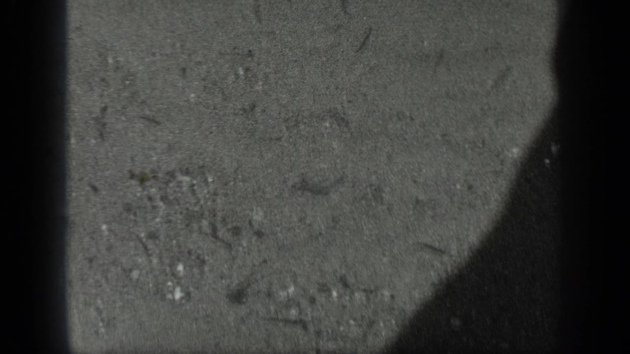 Shallow water with sandy bottom texture, small dark fish-like marks, and a large shadow at the right edge.