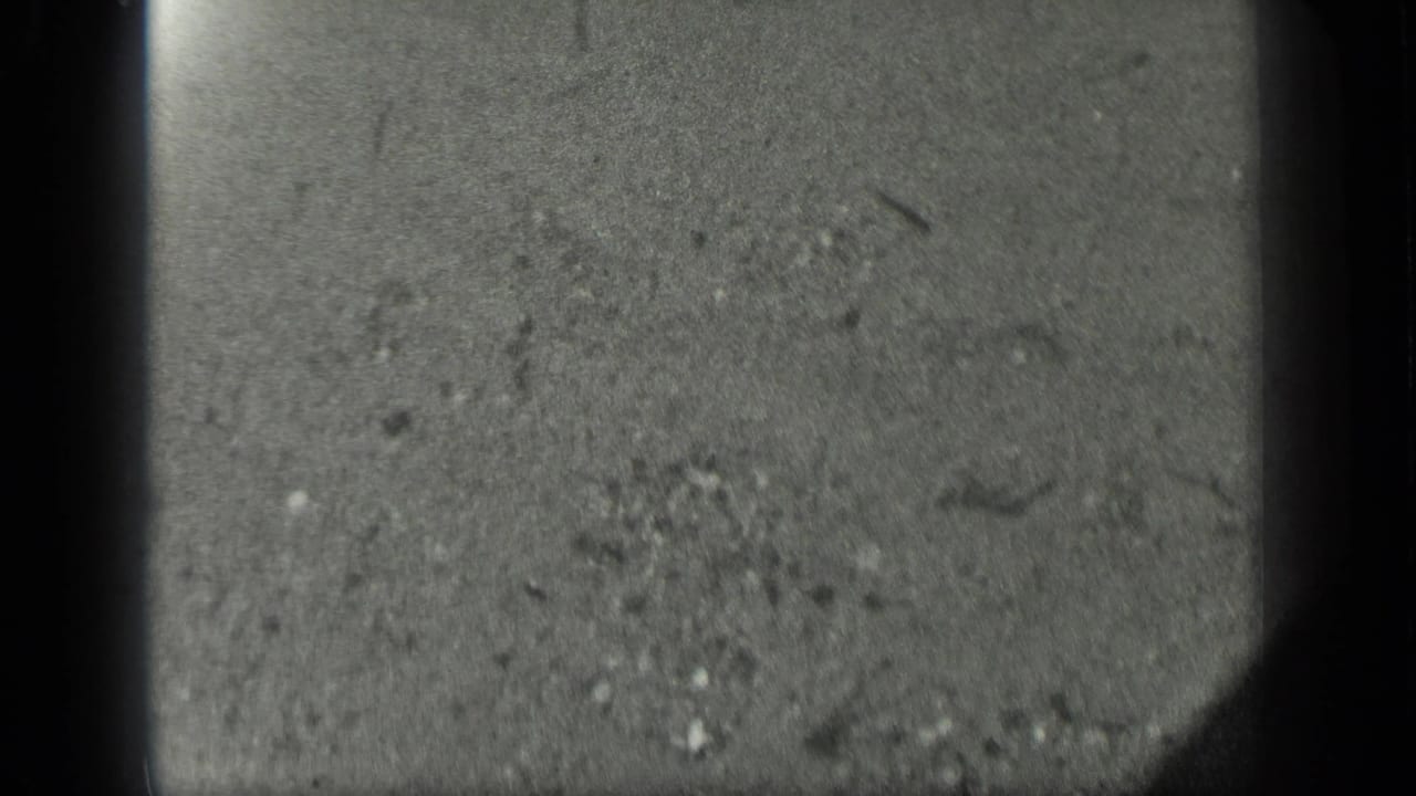 Textured shallow water with scattered light specks, small dark marks, and rounded film-frame edges.