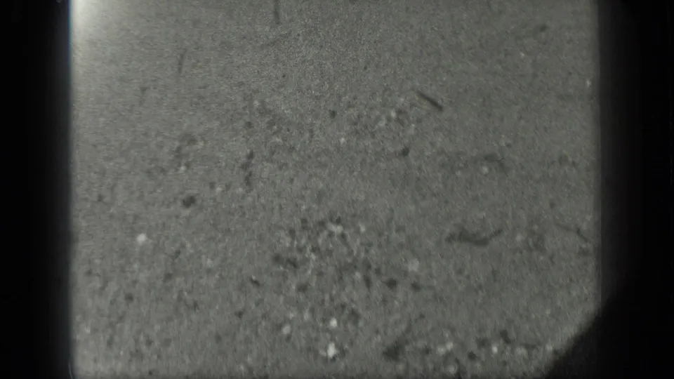 Black-and-white 8mm frame from Long Lake, Canada showing shallow water, speckled bottom texture, and faint fish-like marks.