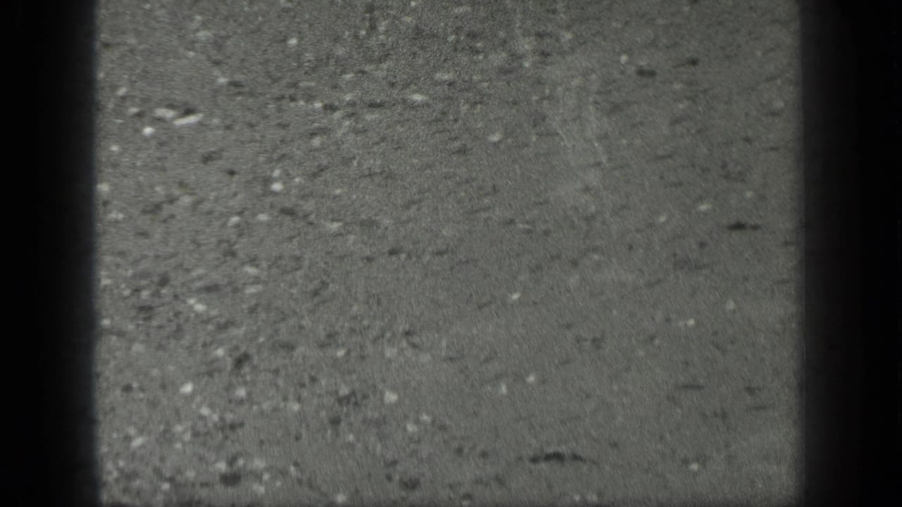 Wet concrete or pavement with grit, dark frame edges, and visible film grain.