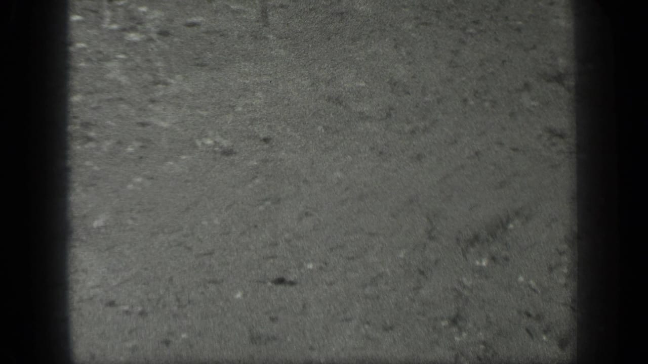 1939 Long Lake, Canada 8mm frame showing rain-marked pavement with faint water streaks, small debris, and soft black-and-white texture.