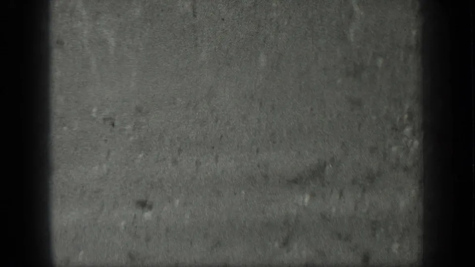 1939 Long Lake 8mm frame showing a close monochrome shoreline surface with grain, scratches, and gate shadowing.