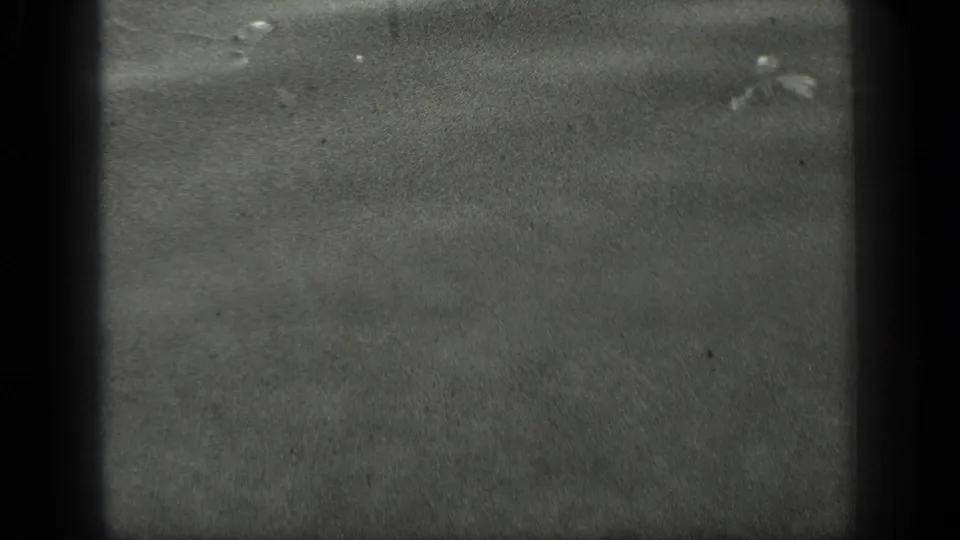 Monochrome 8mm view of the Long Lake shoreline surface, with subtle ripples, bright specks, and heavy film grain.