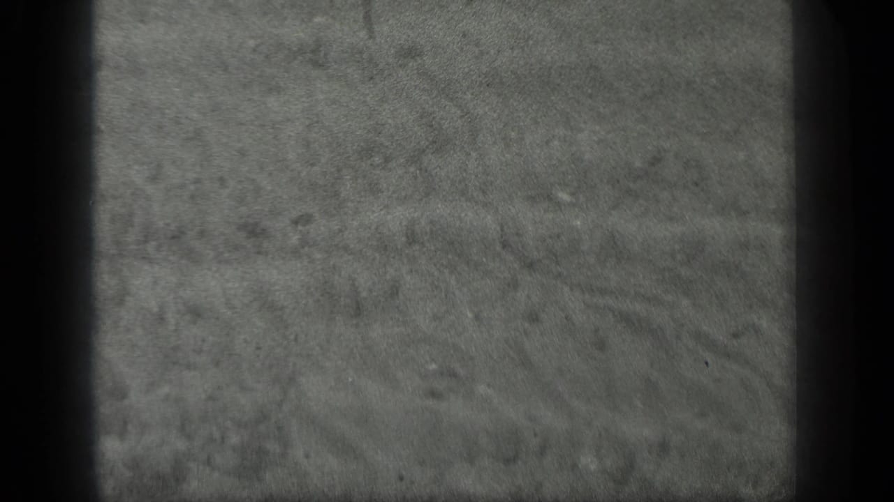Shallow water over sandy lake bottom with small stones and dark film-frame edges.