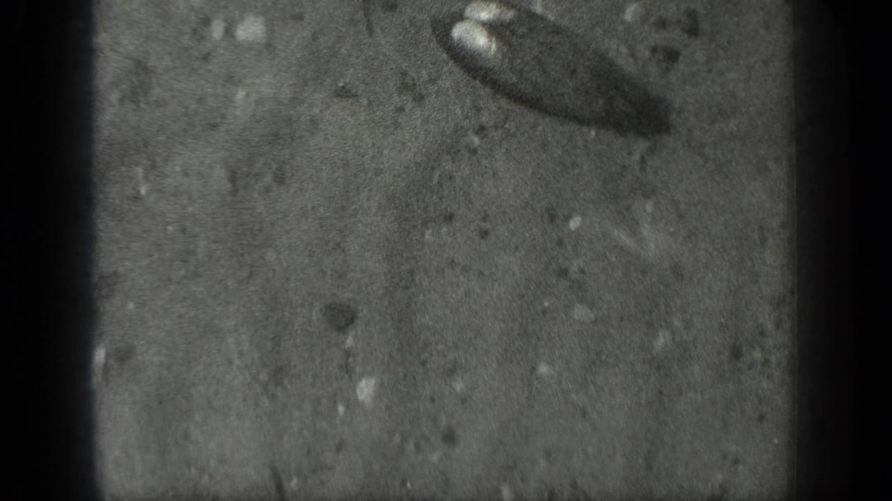 Sandy underwater surface with small rocks and a dark elongated object near the upper right.