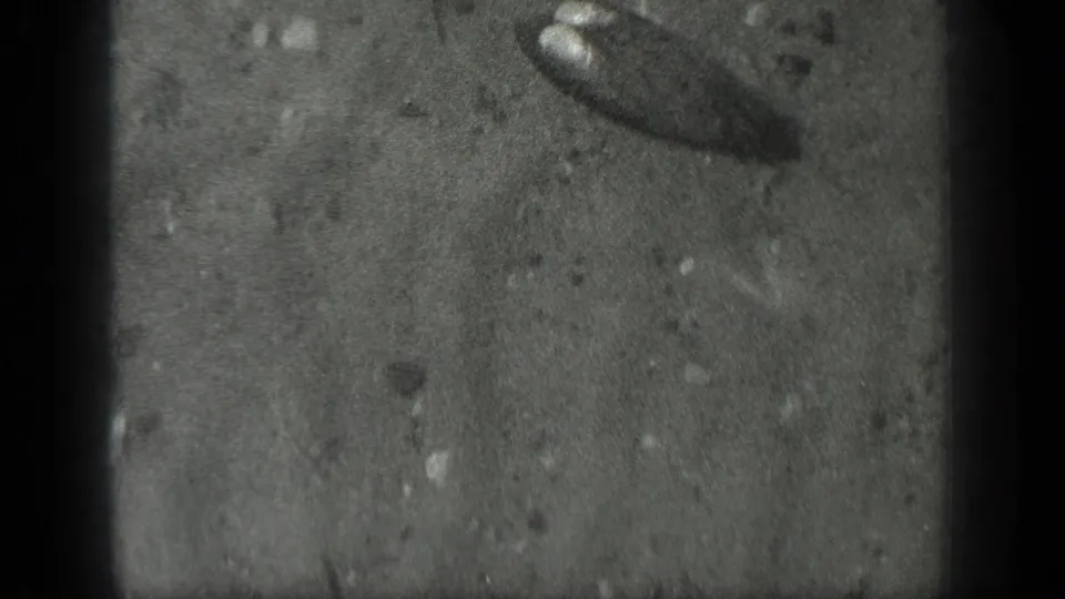 1939 Long Lake, Canada frame with shallow clear water, sandy bottom, scattered stones, and an indistinct dark object near the top right.