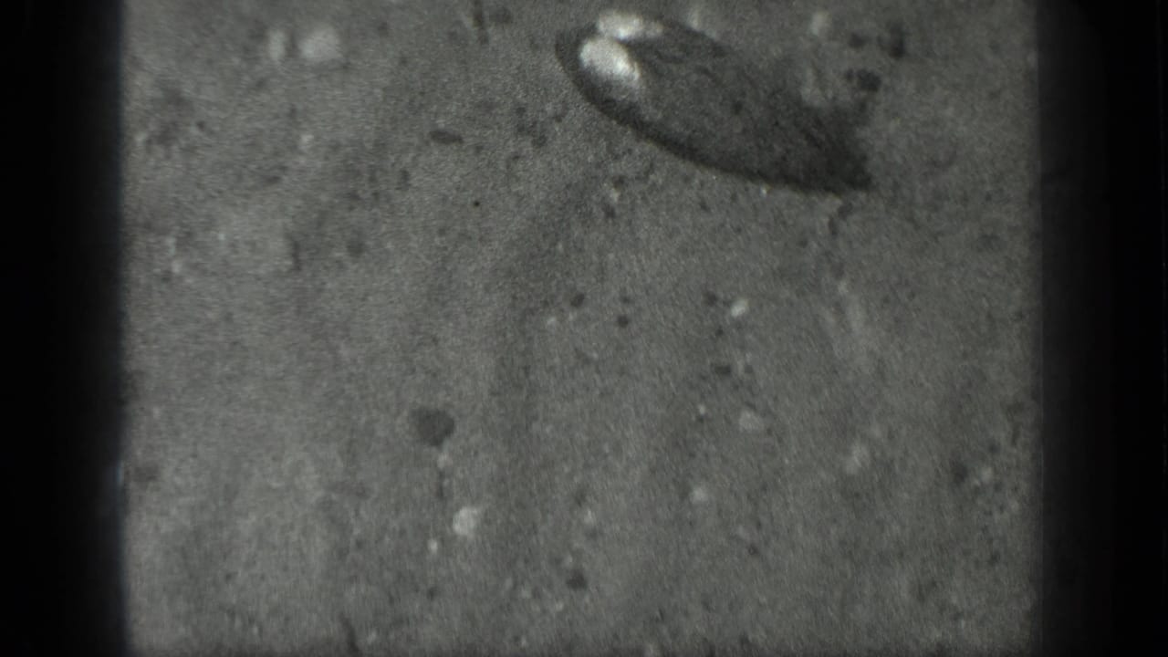 1939 Long Lake, Canada 8mm frame showing an indistinct dark object in shallow water over rippled sand and small stones.