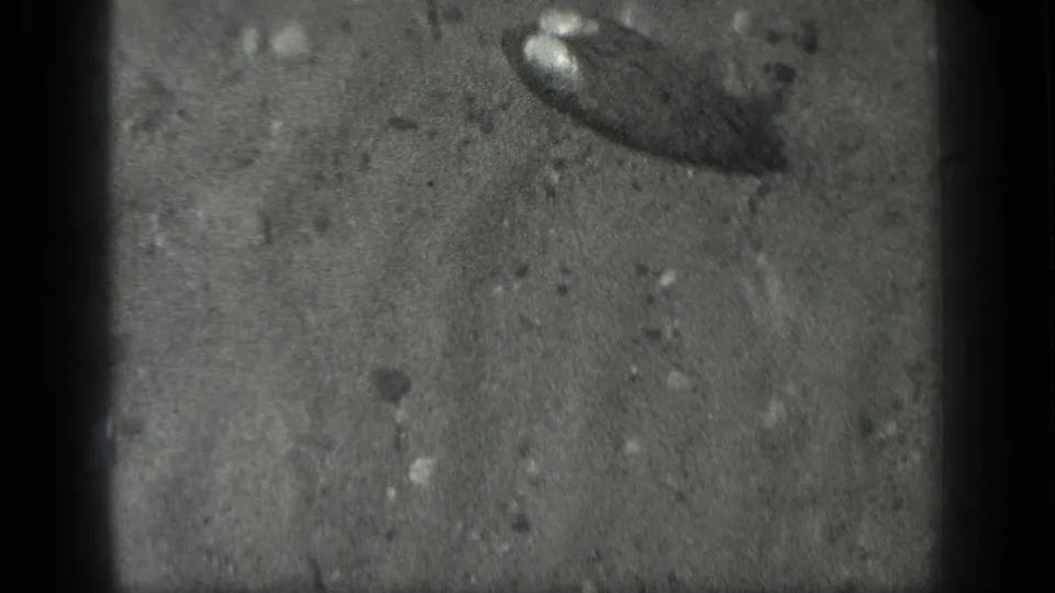 1939 Long Lake, Canada 8mm frame showing an indistinct dark object in shallow water over rippled sand and small stones.