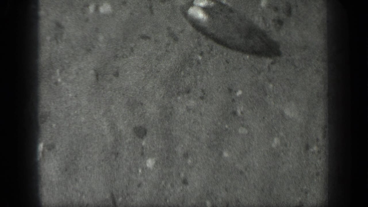 1939 Long Lake, Canada frame showing clear shallow water, sandy lake bottom, small stones, and a dark indistinct object near the edge.