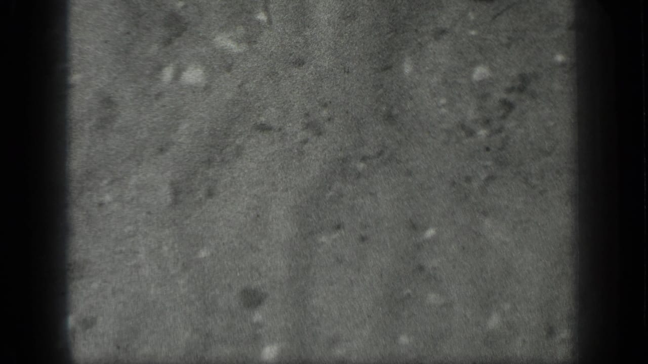 A close black-and-white view of the pond bottom at Long Lake shows cloudy water, sediment, and little visible movement.