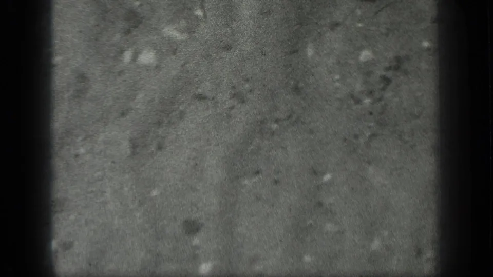 A close black-and-white view of the pond bottom at Long Lake shows cloudy water, sediment, and little visible movement.
