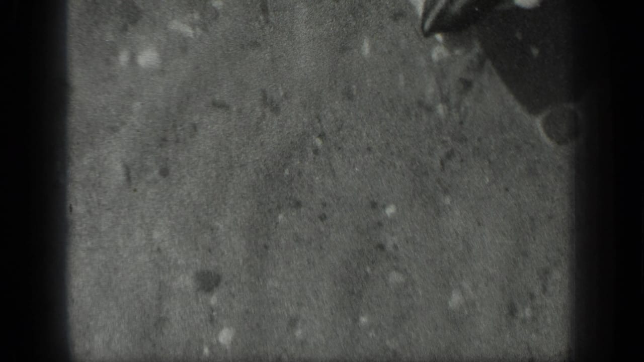 A partial hand reaches into the shallow pond water, partly obscured by blur, grain, and the dark film-frame edge.