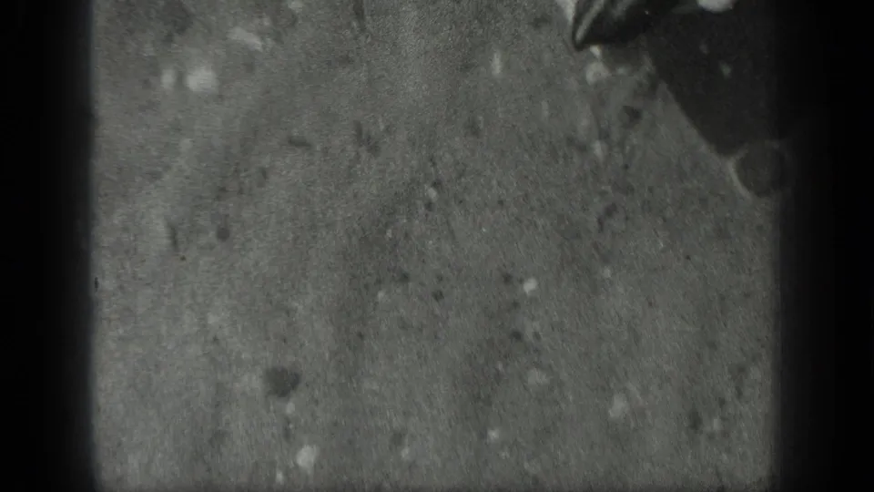 A partial hand reaches into the shallow pond water, partly obscured by blur, grain, and the dark film-frame edge.