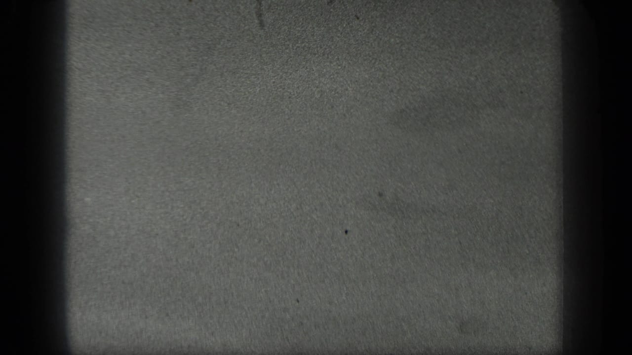 The final 1939 Long Lake frame shows cloudy water and sediment with the hand no longer clearly visible.
