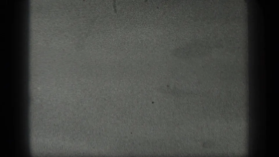 The final 1939 Long Lake frame shows cloudy water and sediment with the hand no longer clearly visible.