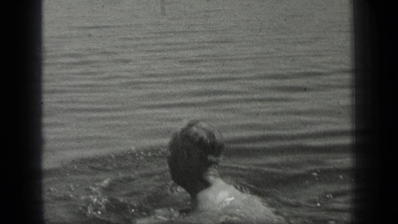 Swimmer seen from behind moving through rippled lake water near a floating dock.