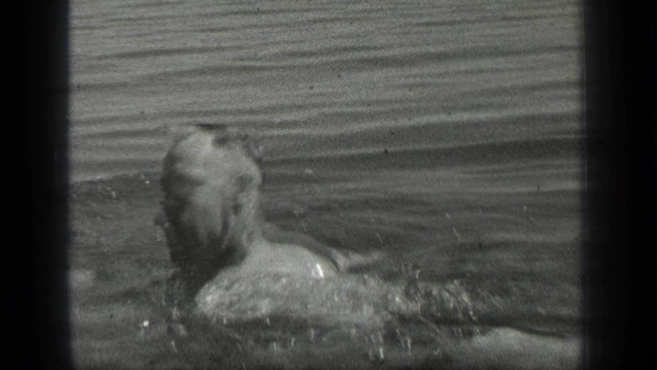 The swimmer turns his head and shoulders sideways in the lake, with 8mm grain and black frame edges visible.
