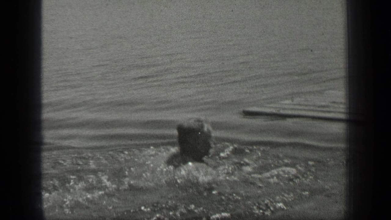 Swimmer in profile moving through lake water toward a narrow wooden object.