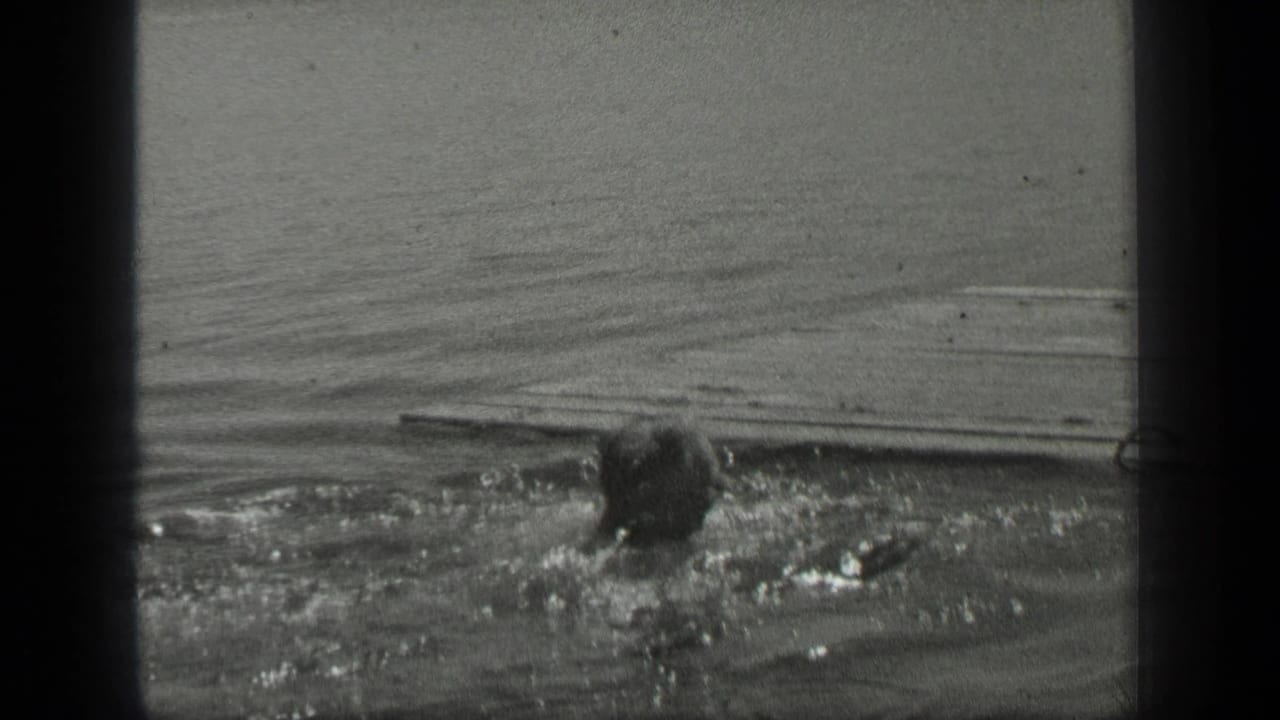 A rear view shows the swimmer nearing a long wooden board or dock edge in the calm 1939 Long Lake water.