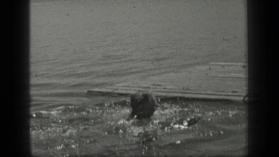 A rear view shows the swimmer nearing a long wooden board or dock edge in the calm 1939 Long Lake water.