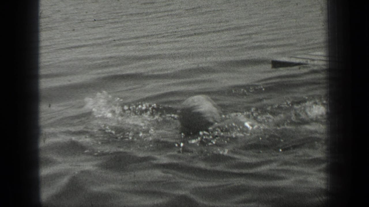 The woman continues swimming across calm Long Lake water, her head and arm partly visible among ripples and reflected light.