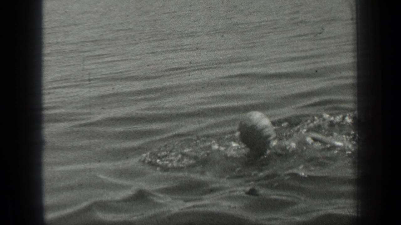 A swimmer's head and shoulder remain visible in the lake as gentle waves fill the frame in 1939 Canadian home-movie footage.