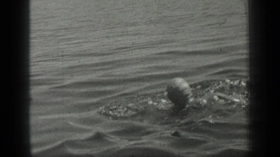 A swimmer's head and shoulder remain visible in the lake as gentle waves fill the frame in 1939 Canadian home-movie footage.