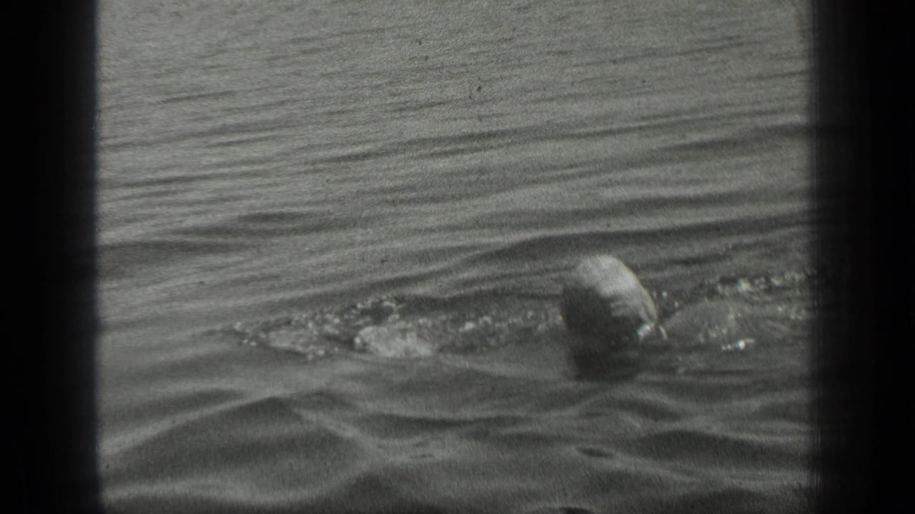 1939 Long Lake, Canada home-movie frame showing a swimmer surfacing in rippled water with small splashes around the head.