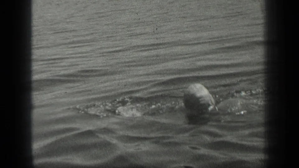 1939 Long Lake, Canada home-movie frame showing a swimmer surfacing in rippled water with small splashes around the head.