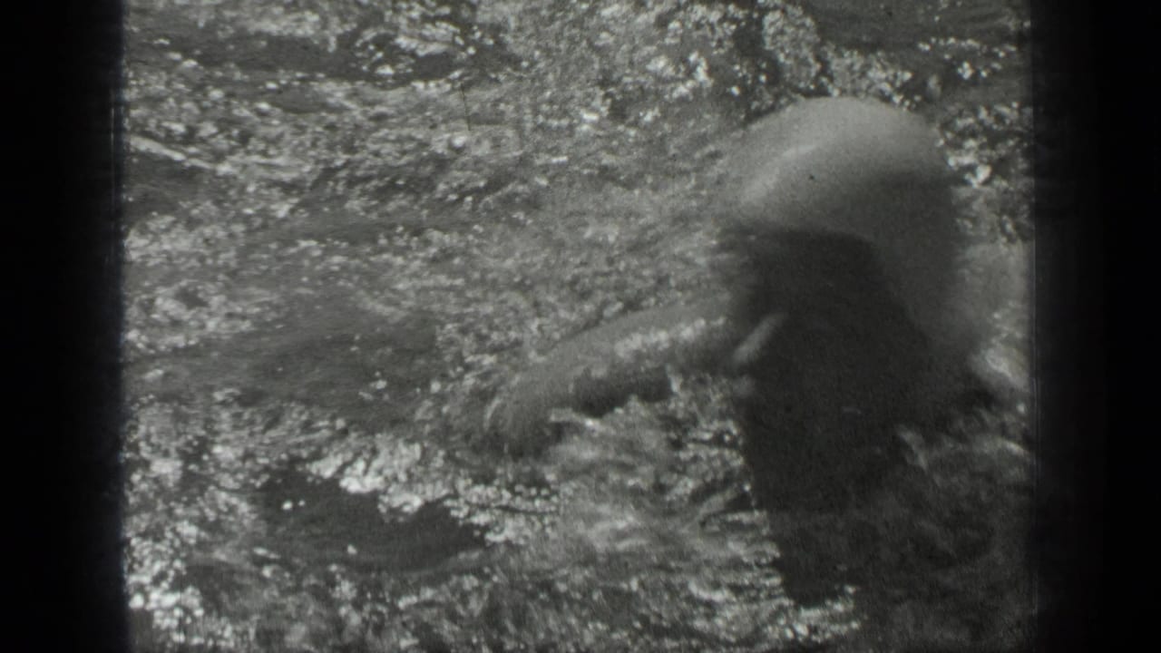 A shirtless swimmer moves across rippled water at Long Lake, Canada, partly blurred by motion and reflected light.