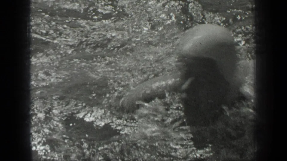 A shirtless swimmer moves across rippled water at Long Lake, Canada, partly blurred by motion and reflected light.