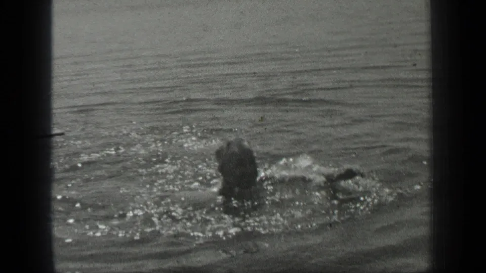 The swimmer continues through shallow Long Lake water, with her head and arm visible above the ripples.