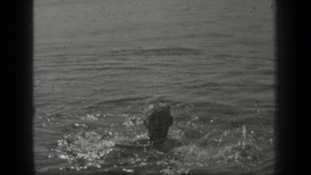 Swimmer wearing a cap moves through lake water with splashes around the shoulders.