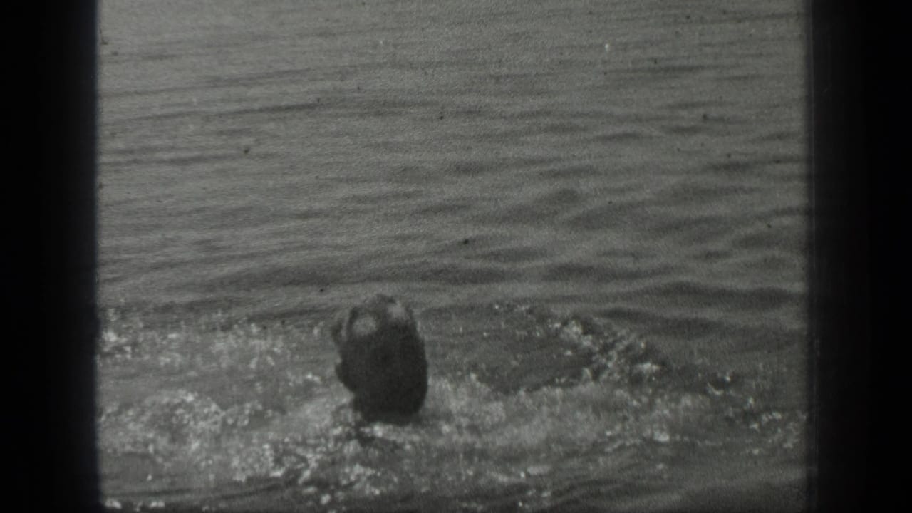 Swimmer in a cap faces away while moving through rippled lake water.