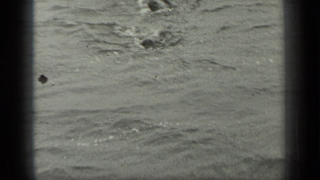 Rippling water with a swimmer partly visible near the top of the frame.