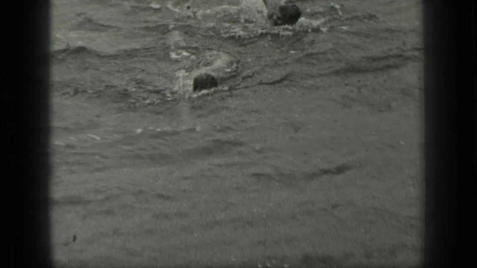 A swimmer moves through the water in soft black-and-white 8mm footage from the Long Lake, Canada sequence.