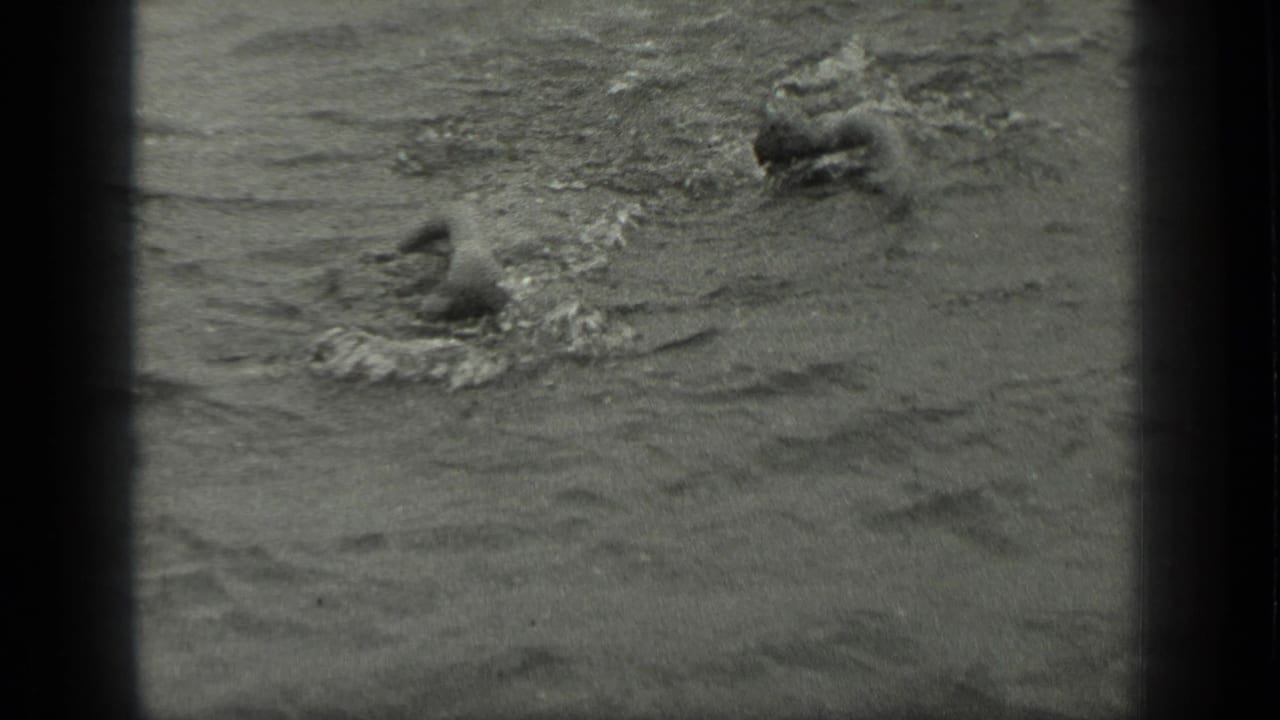 Two swimmers in lake water seen through a soft black-and-white film frame.