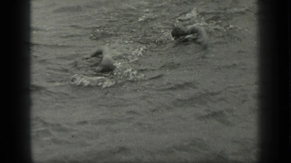 1939 Long Lake home-movie frame showing two men partly submerged in lake water with ripples and rounded 8mm borders.