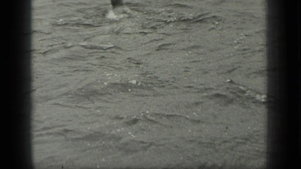 Black-and-white 8mm frame showing mostly lake water, with a partial swimmer near the top edge and visible film-frame borders.
